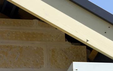soffit repair Skirlaugh